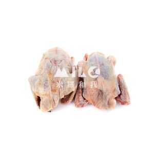 農場直售鴿肉