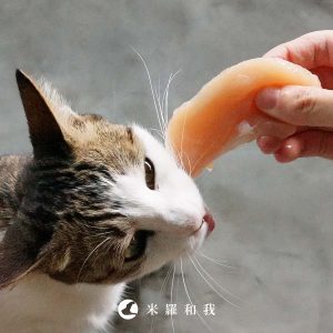 多肉肉 - 挑嘴貓組