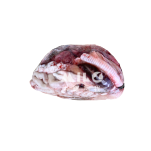 鱷魚內臟包