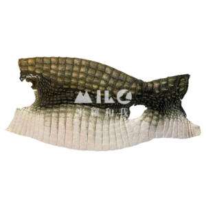 鱷魚皮