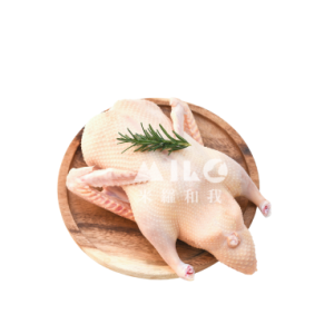 鴨肉塊